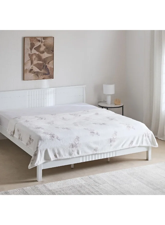 Home Box Matrix Cian Printed Flannel Queen Blanket 220 x 200 cm