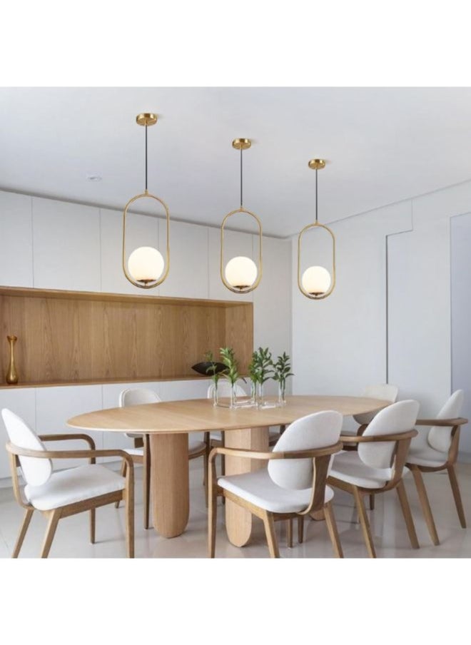 A F N Lighting A F N LIGHTINGS Glass Globe Lampshade Hanging Light Chandelier Fixture Adjustable Hanging Fixture for Dinning Room Bedroom  - Image 4