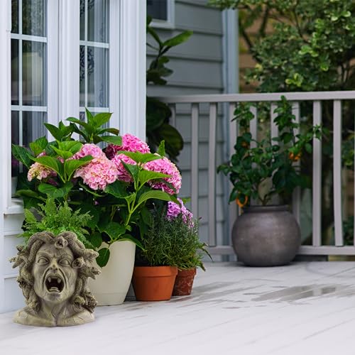 Darware Resin Medusa Head Planter, Large Garden Decor Statue Flower Pot - Image 5