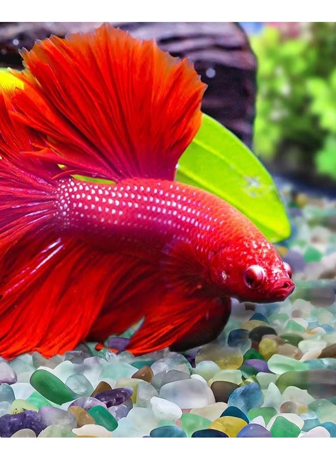 200g فلوريت كريستال الحوض الحصى,حجر طحن مصقول,حجر كتلة الحجر الكريم,ديكور بيتا خزان الأسماك,عصائر,زهرية,حشو,نافورة وعاء النبات,7-9mm - Image 4