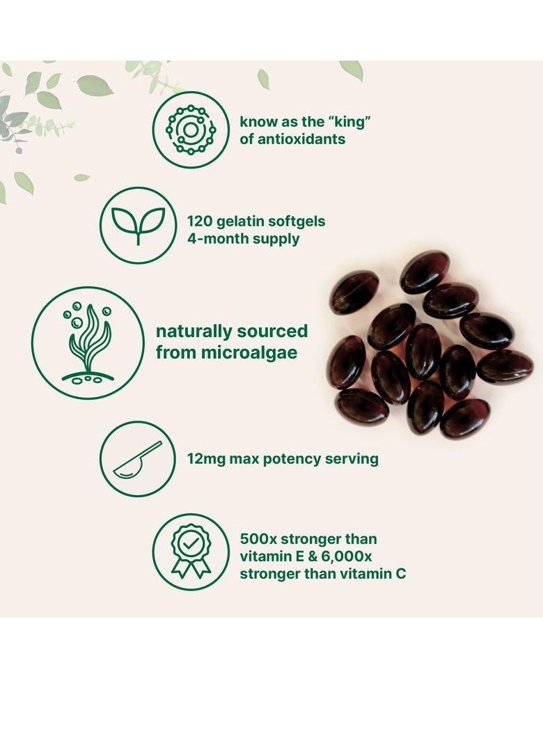 مايكرو إنجريدينتس Astaxanthin 12mg,120 Softgels  مكمل مضاد للأكسدة الطبيعي للعين والمفاصل وصحة الجلد ، مصدر الطحالب الدقيقة  إمدادات 4 أشهر  يدعم الدورة الدموية الداخلية والتسمير الطبيعي ، غير الكائنات المعدلة وراثياً - Image 2