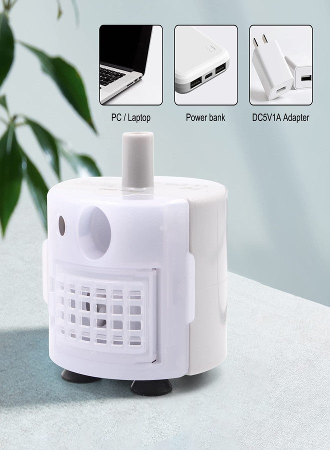 Petilog مضخة نافورة مياه للقطط، مناسبة لنافورات مياه القطط المصنوعة من الفولاذ المقاوم للصدأ سعة 3.2 لتر/108 أونصة و67 أونصة/2 لتر، مضخة نافورة مياه للحيوانات الأليفة من بيتيلوج، مضخة نافورة مياه للقطط فائقة الهدوء - Image 4