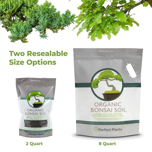PERFECT PLANTS Bonsai Soil by Perfect Plants - 2qts. | Premium All-Purpose Mix Bonsai Tree Varieties - Image 4