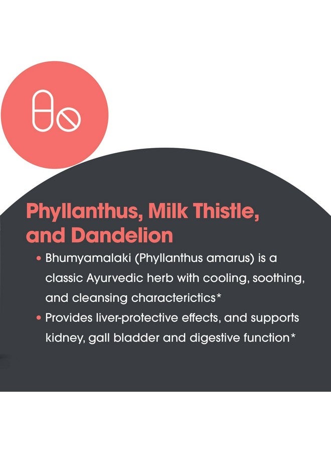 اليرجي ريسيرتش جروب مجموعة أبحاث الحساسية - مكمل عشبة شوك الحليب - دعم صحة الكبد، عشبة شوك الحليب، الهندباء، إزالة السموم، التطهير، كبسولات نباتية - 120 كبسولة - Image 5