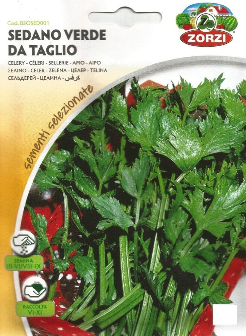 ZORZI Celery Seeds - Image 1