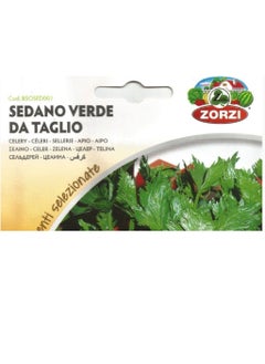 ZORZI Celery Seeds  - Image 2