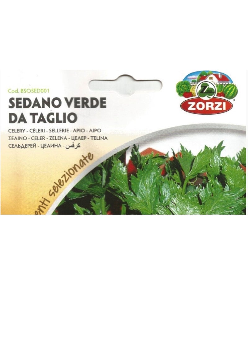 ZORZI Celery Seeds - Image 2