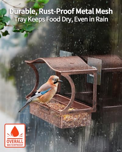 DesGully Window Bird Feeder, Metal - with Strong Suction Cups, Large Outdoor for Viewing Bird Watching Gift (Curved) - Image 5