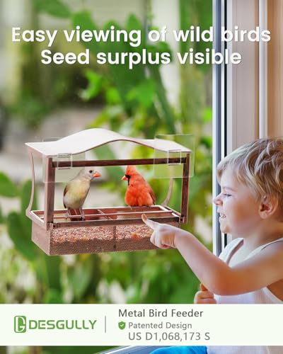 DesGully Window Bird Feeder, Metal - with Strong Suction Cups, Large Outdoor for Viewing Bird Watching Gift (Curved) - Image 2