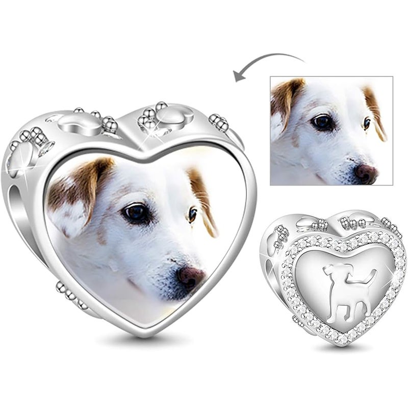 GNOCE Custom Photo Charms Bead For Dog Personalized Photo Animals Charm 925 Sterling Silver Pendant for Bracelets (Pet) - Image 1