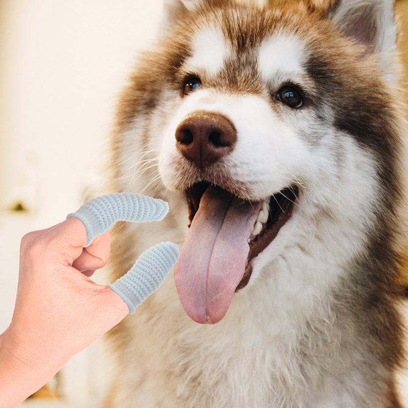 12pcs Dog Finger Toothbrush Set Washable Polyester Pet Toothbrush for Large Dogs Soft Bristle Dental Care Suitable for Puppy Teeth Cleaning - Image 4