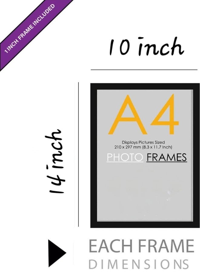 ashit A4 Size Photo Frame For Wall Set of 6 Black Picture Frame For Home and Office Decoration, Size -8x12 Inches - Image 4