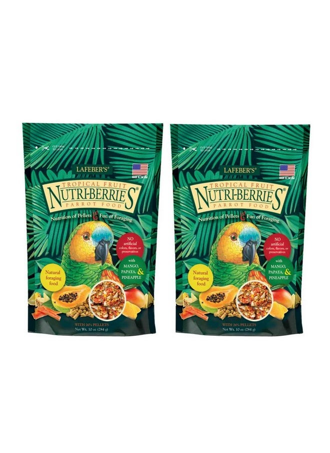 لافيبيرز طعام ببغاء من Lafeber Tropical Fruit Nutri-Berries كيس 10 أونصة (عبوة من قطعتين)  - Image 1