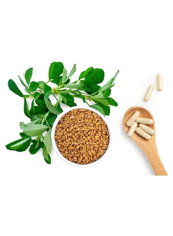 جي إن سي مكمل غذائي أوراق الحلبة من هيربل بلس 610 ميليغرام - 100 كبسولة - Image 3