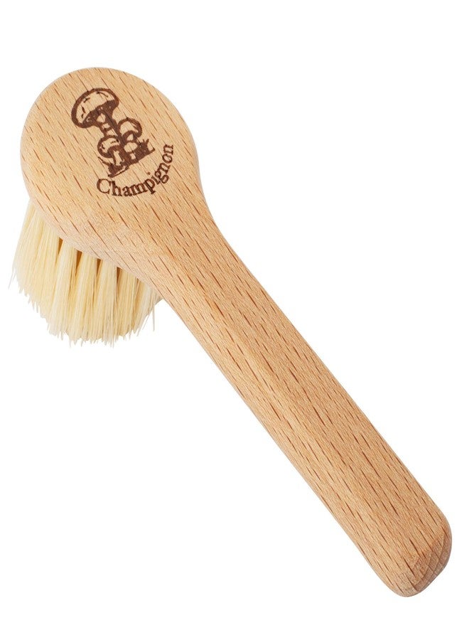 REDECKER Natural Pig Bristle Mushroom Brush Cleaner with Beechwood Handle, Gently and Thoroughly Cleans Mushrooms Without Water, 5 inches, Made in Germany - Mushroom Cleaner Brush - Image 1