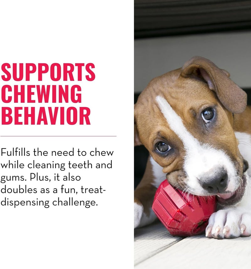 KONG Stuff-A-Ball Dog Toy - Durable Natural Rubber Treat Dispenser and Dental Cleaner for Large Dogs - Image 3