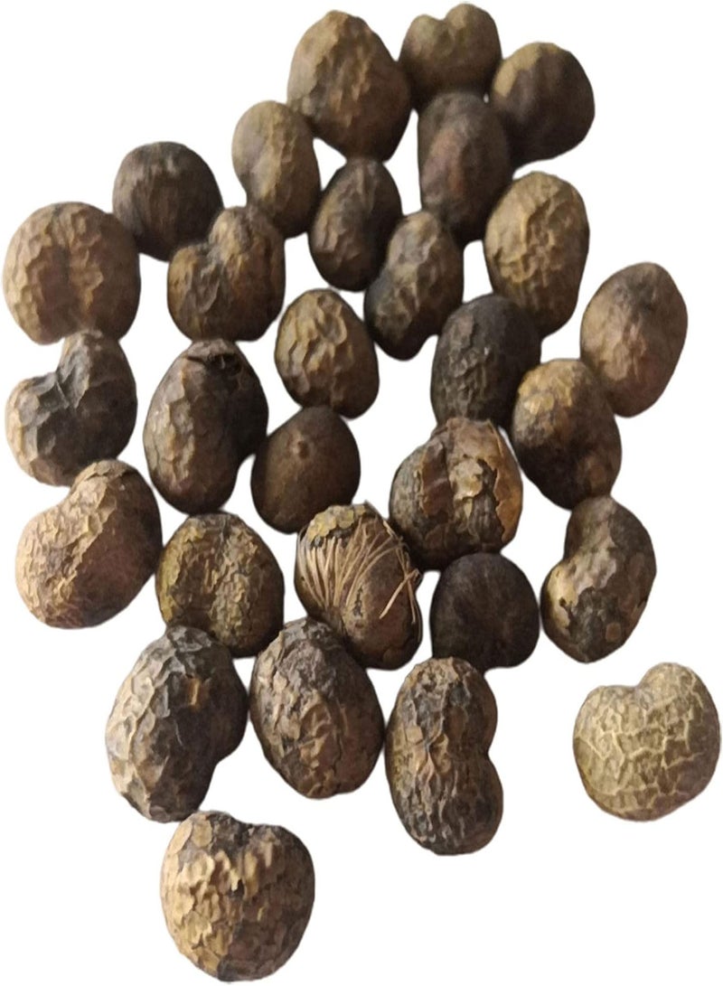 GGOOT Seed for Planting,100Pcs Bottle Shape Palm Tree Seeds Bonsai Garden Tropical Ornamental Plant-Palm Tree Seeds - Image 2