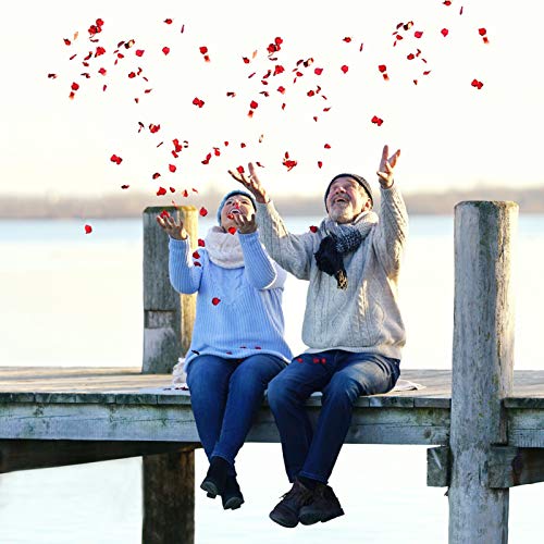 Neo LOONS 1000 Pcs Artificial Silk Rose Petals Decoration Wedding Party Color Red - Image 5
