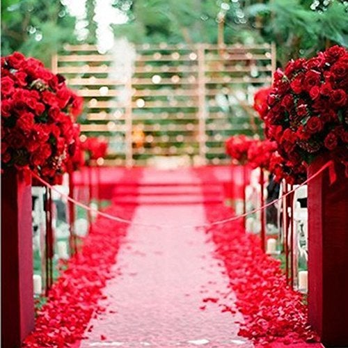 Neo LOONS 1000 Pcs Artificial Silk Rose Petals Decoration Wedding Party Color Red - Image 3