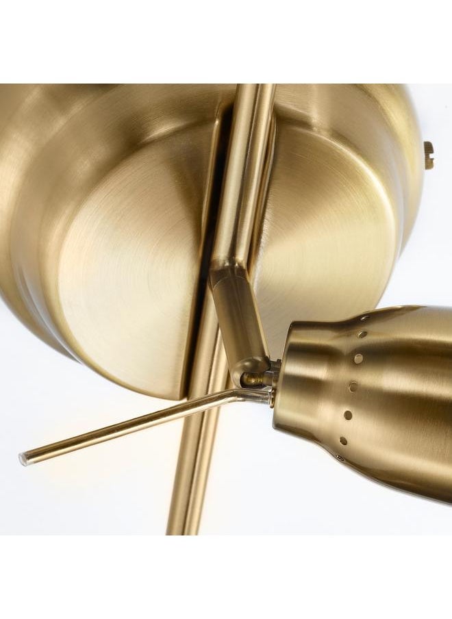 erorex - Ceiling Track, 5-Spots, Brass-Colour - Image 1