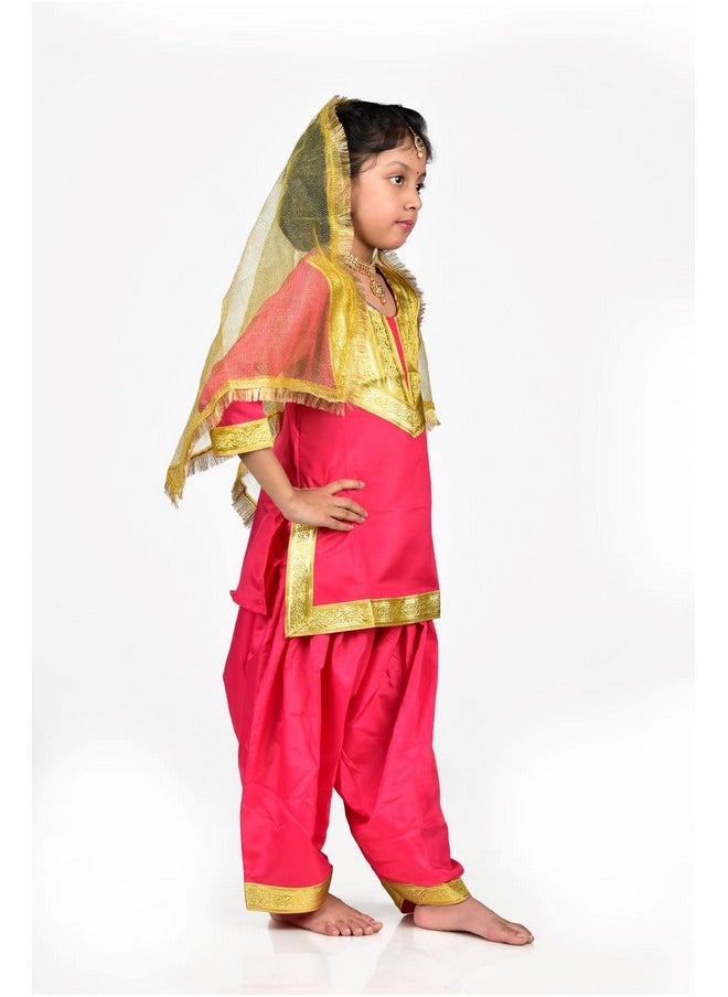 بوك ماي كوستيوم - زي الرقص الشعبي البنجابي جيدها (متعدد الألوان) من BookMyCostume للفتيات والإناث من عمر سنتين إلى ثلاث سنوات - Image 1