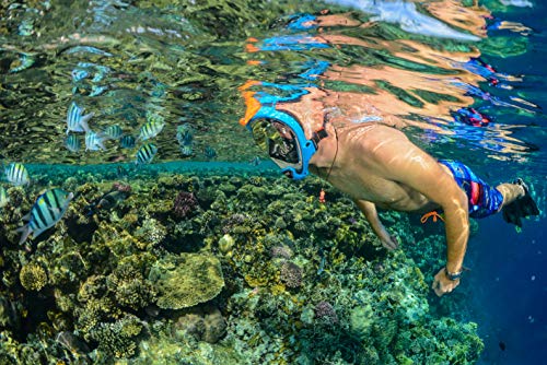 OCEANREEF OCEAN REEF - Aria QR + Quick Release Snorkeling Mask - Full Face Snorkeling Mask - 180 Degree Underwater Vision - 5 Colors and 3 Sizes - Blue Color - Size S/M - Image 5