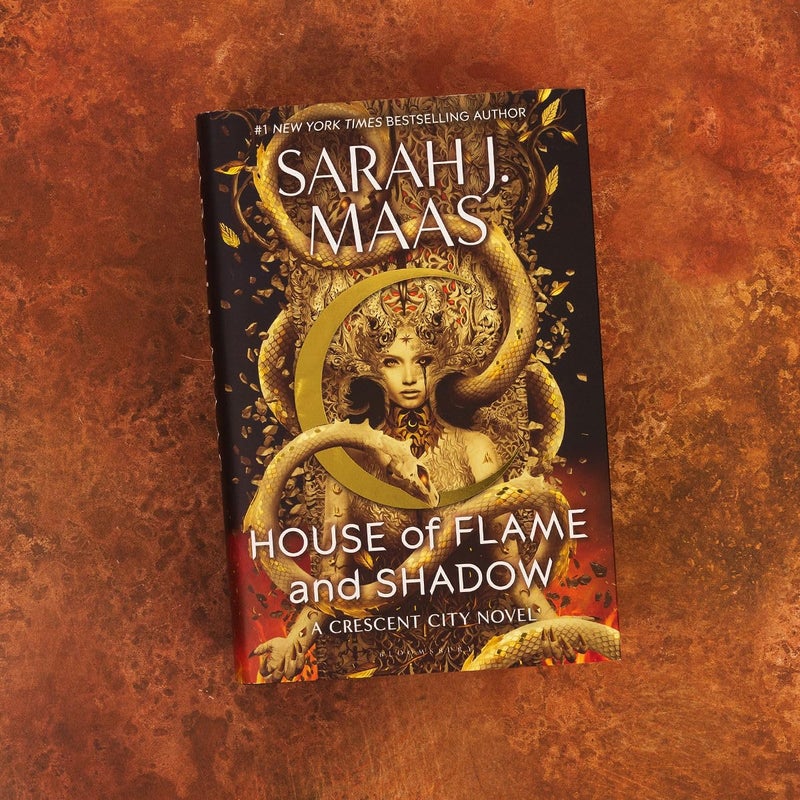 House of Flame and Shadow: The most anticipated fantasy novel of 2024, from the multi-million-selling author of A Court of Thorns and Roses - Image 4
