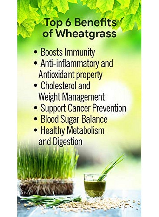 HERBAL HILLS مسحوق القمح العضوي من هيربال هيلز (عبوة 1000 جرام من 1) - Image 4