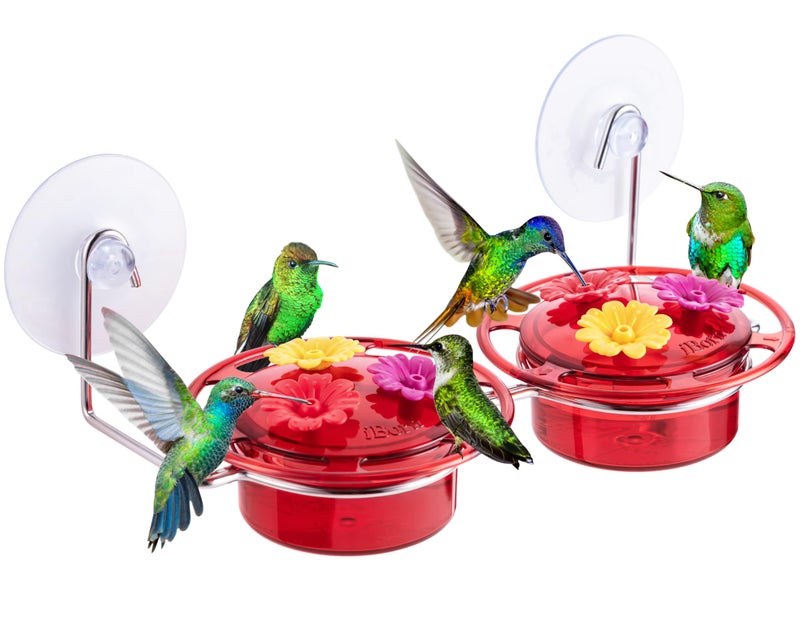 iBorn Window Hummingbird Feeder Hummingbird Feeder with Strong Suction Cup Mini Humming Bird Feeders for Outdoors, Bee-Proof Feeding Ports & Stainless Steel Base, 3oz, 2025 New - Image 1
