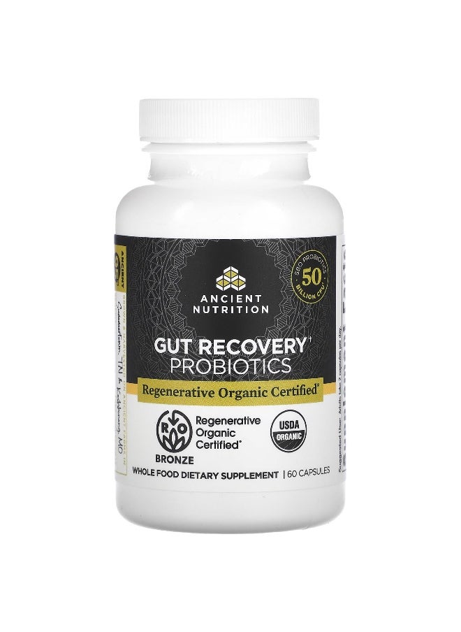 Ancient Nutrition - Ancient Nutrition, Gut Recovery Probiotics, 25 Billion CFU, 60 Capsules - Image 1