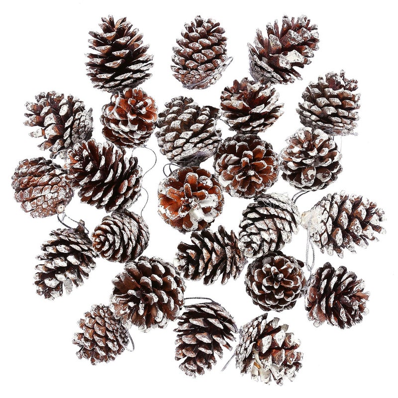 Cooraby 24 Pieces Christmas Pine Cones Ornament Natural PineCones with String Pendant Crafts for Gift Tag Christmas Tree Party Hanging Decoration Snow