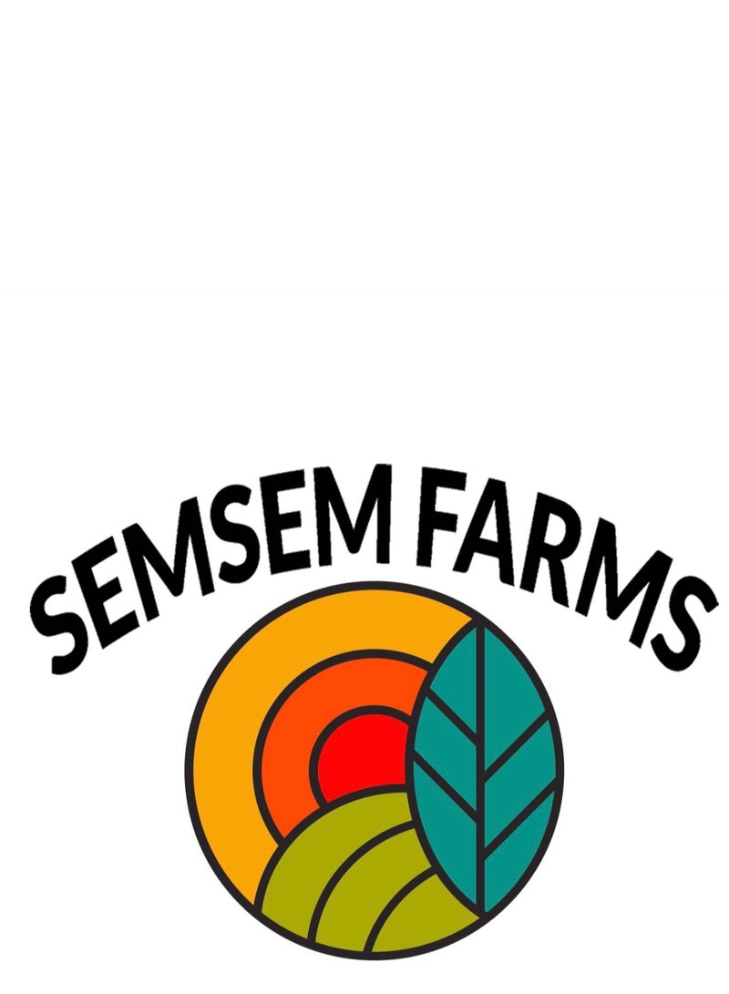 Semsem Farms Dried mango slices  - Image 4