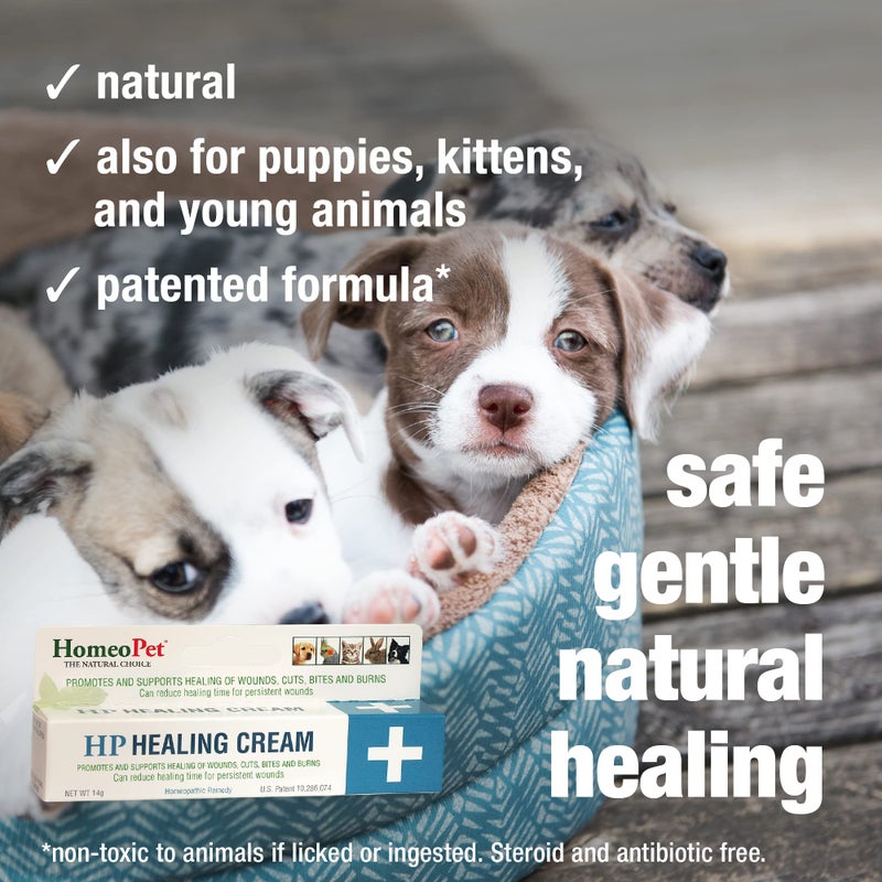 HomeoPet HP Healing Cream, Natural Support for Pet Wound Healing, Skin-Healing Cream for Dogs and Cats, 14 Grams - Image 4