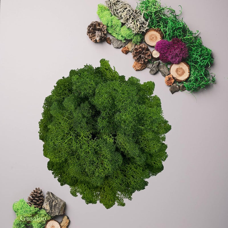 Gusaloo Preserved Moss 1.1lb Artificial Moss for Potted Plants Natural Fresh Green Moss for Crafts Fake Moss Arts Floral Orchid Moss Wall Decor Wedding Centerpieces Garden Terrariums Christmas Decoration - Image 3