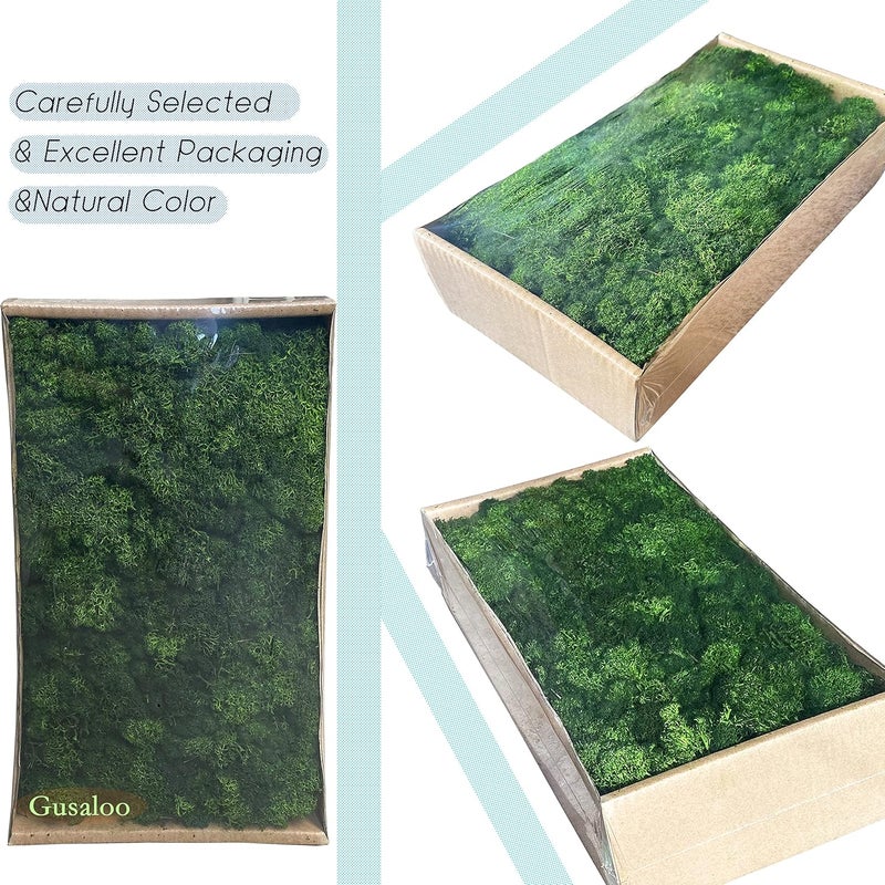 Gusaloo Preserved Moss 1.1lb Artificial Moss for Potted Plants Natural Fresh Green Moss for Crafts Fake Moss Arts Floral Orchid Moss Wall Decor Wedding Centerpieces Garden Terrariums Christmas Decoration - Image 2
