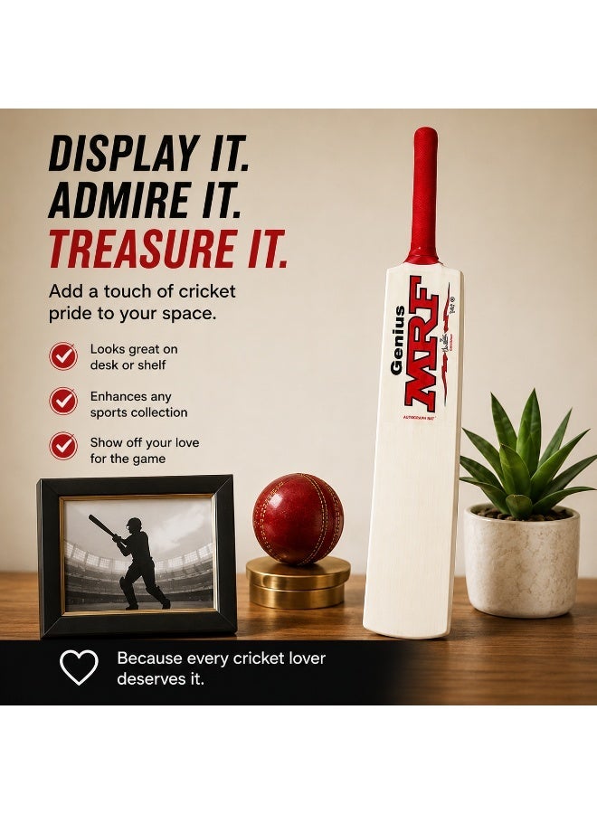 MRF Genius Autograph Mini Cricket Bat 15 Inch | Premium Wooden Mini Bat | Cricket Memorabilia | Collectible Display Bat | Perfect Gift for Cricket Fans - Image 5