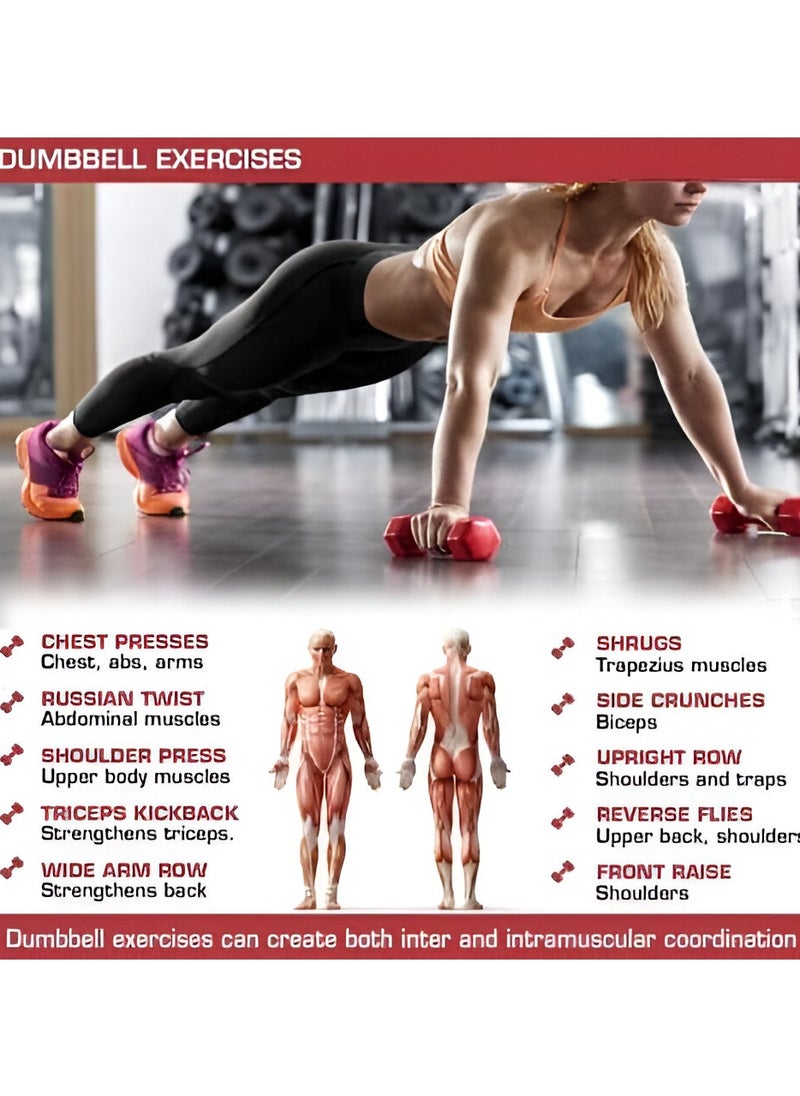 VIO Set of 2 Dumbbells 2 KG Each Hand Weights Vinyl Coated Non Slip Hex Dumbbells for Home Exercise Fitness Gym Workouts Strength Training Yoga Color Coded Anti Slip Anti Roll Dumbbells  - Image 2