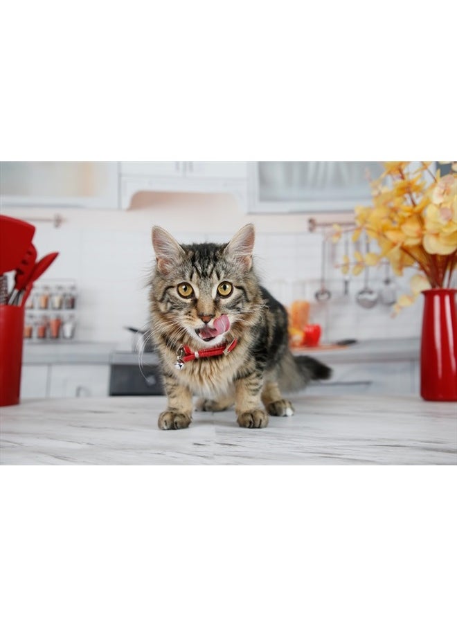 Hartz - Hairball Remedy Plus Salmon Flavored Paste for Cats and Kittens, 2.5 Ounce - Image 1
