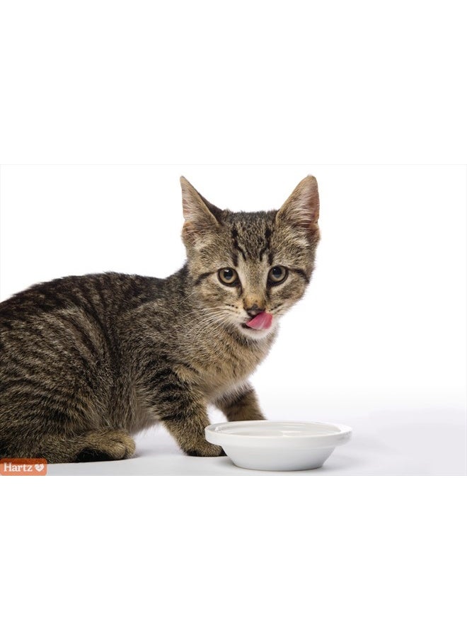 Hartz - Hairball Remedy Plus Salmon Flavored Paste for Cats and Kittens, 2.5 Ounce - Image 1