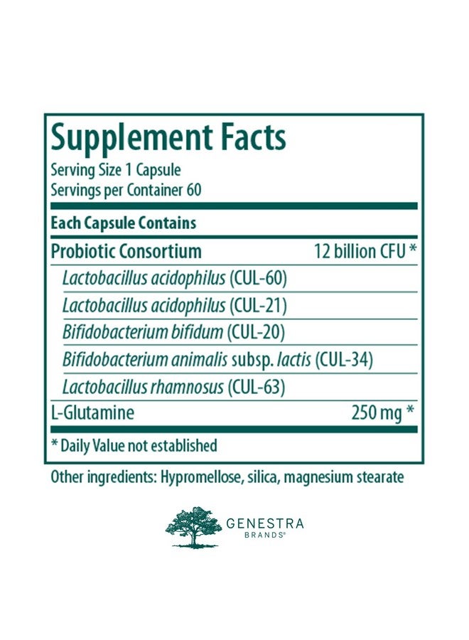 Genestra Brands HMF Neuro Capsule - Women, Men & Kids Probiotics - for Gut Health - 60 Capsules - Image 2