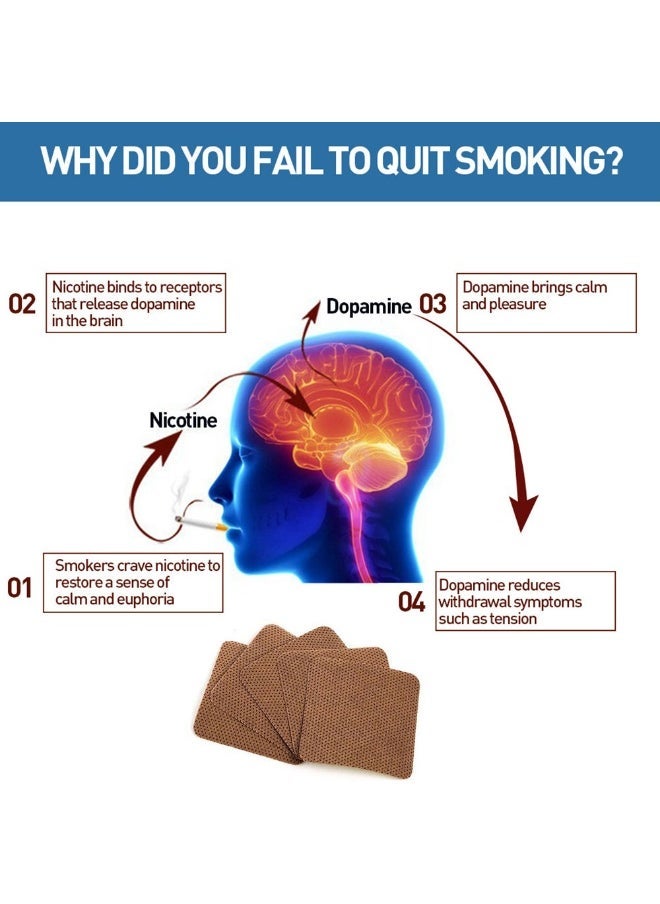 SOL LORA 20 Patches Quit Smoking Patches - Long-Lasting Nicotine Patches for Smoking Cessation, Scientific Stop Smoking Aid Helps Clear Lungs & Control Tobacco Cravings - Image 3