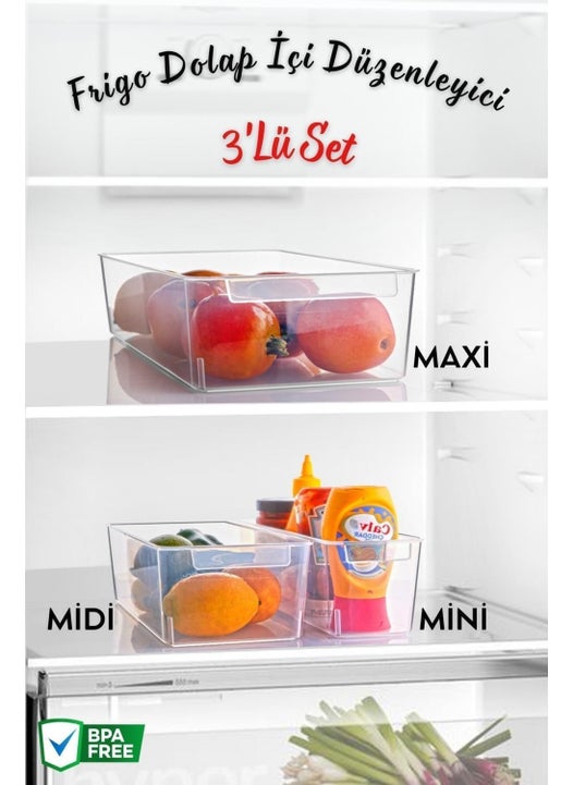Set of 3 Frigo Refrigerator & Cabinet Organizer Maxi/midi/mini