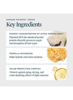 VIRTUE VIRTUE Recovery Damage Reverse Hair Serum  - Image 3