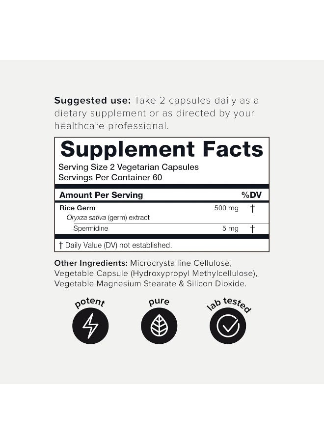 Toniiq Toniiq Ultra Concentrated 500mg Spermidine Supplements for Men and Women  - Image 2