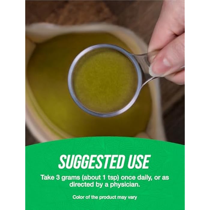 BulkSupplements.com Barley Grass Extract Powder - Barley Powder, Green Superfood Supplement, Barley Extract - Vegan-Friendly, 3g per Serving, 500g (1.1 lbs) (Pack of 1) - Image 4