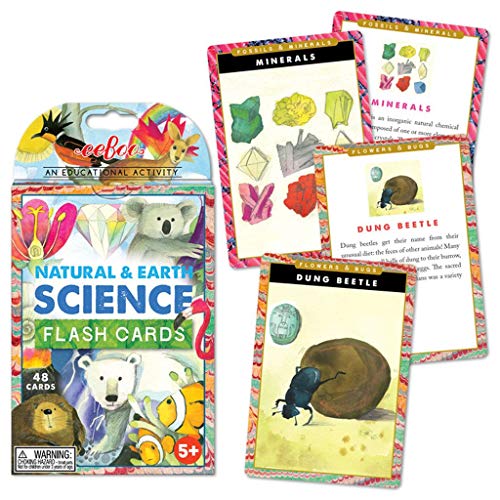 eeBoo: Natural and Earth Science Educational Flash Card, Includes a Colorful Illustration on One Side and Informational Facts on The Other Side, for Ages 5 and up, Encourages Imagination - Image 3