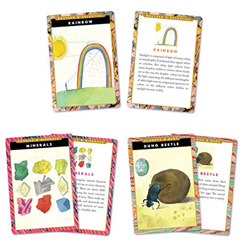 eeBoo: Natural and Earth Science Educational Flash Card, Includes a Colorful Illustration on One Side and Informational Facts on The Other Side, for Ages 5 and up, Encourages Imagination - Image 2