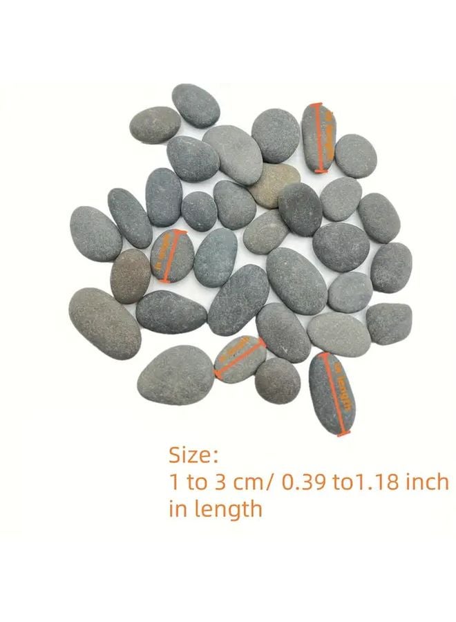 55pcs Natural Loose Aquarium Gravel For Fish Tank Decoration And Aquascaping - Image 4