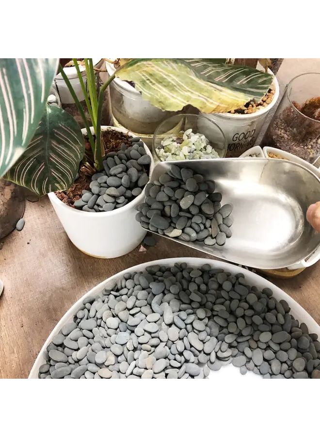 55pcs Natural Loose Aquarium Gravel For Fish Tank Decoration And Aquascaping - Image 3