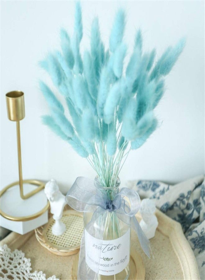 اوكيي زهور مجففة من نوع Lagurus Ovatus (ذيل الأرنب) لتزيين المنزل من OUKEYI، زهور حقيقية، عشب مجفف يدوم طويلاً، باقة زهور، دعائم تصوير من مواد طبيعية، 50 قطعة (أزرق تيف) - Image 4